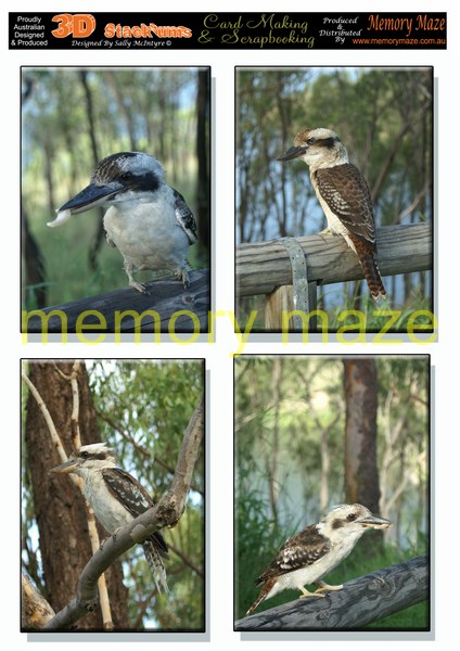 DS0711 Kookaburras  min buy 5 cut out with your nested dies